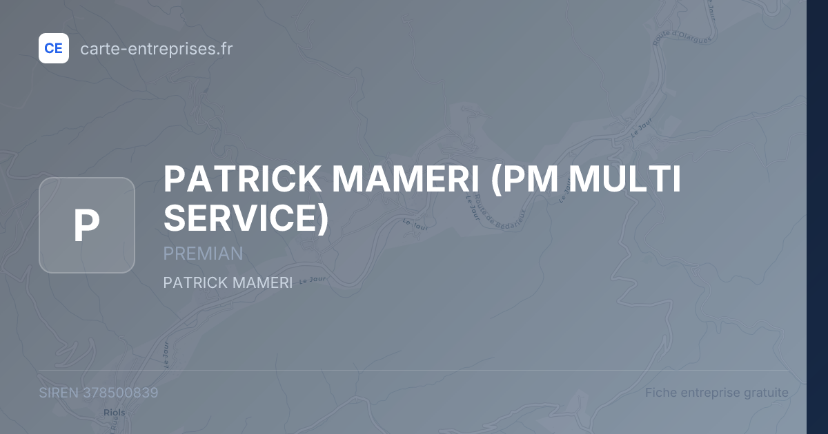 PATRICK MAMERI (PM MULTI SERVICE) — 378500839 — fiche entreprise
