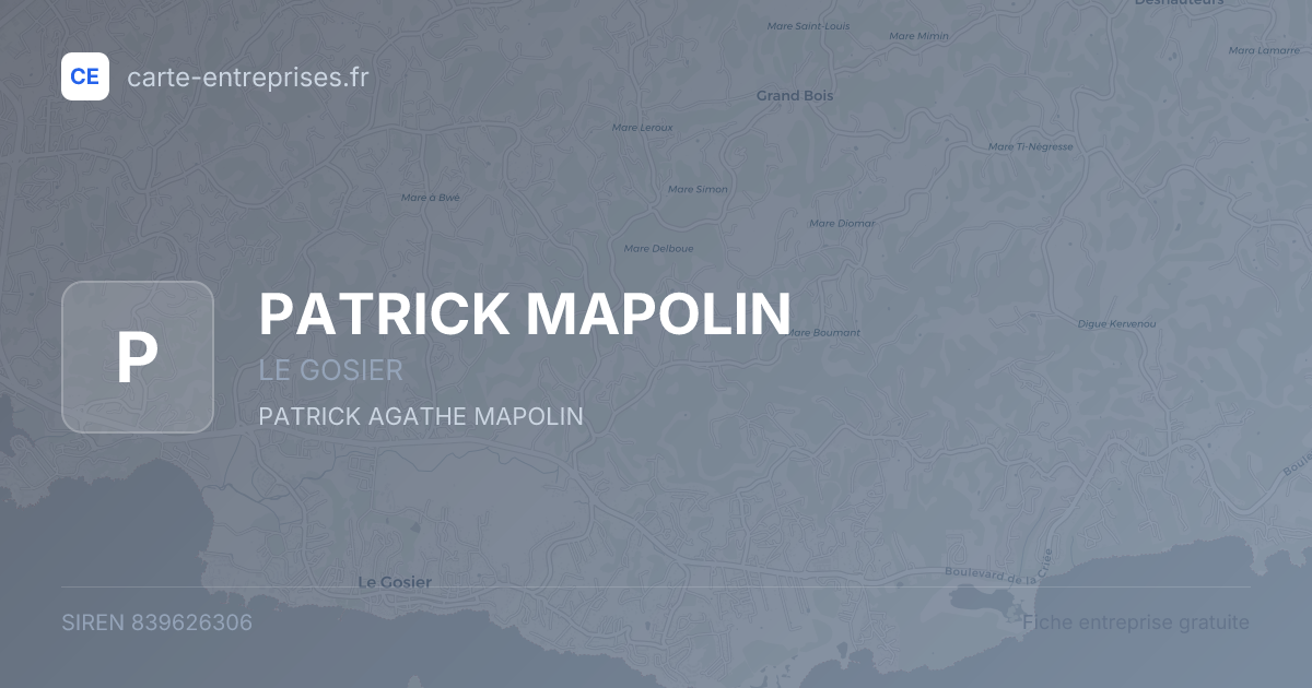 PATRICK MAPOLIN — 839626306 — fiche entreprise