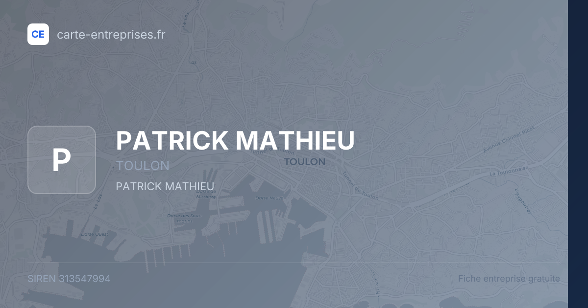 PATRICK MATHIEU — 313547994 — fiche entreprise