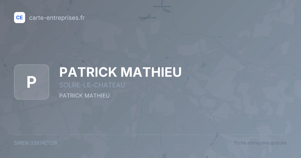 PATRICK MATHIEU — 339742538 — fiche entreprise
