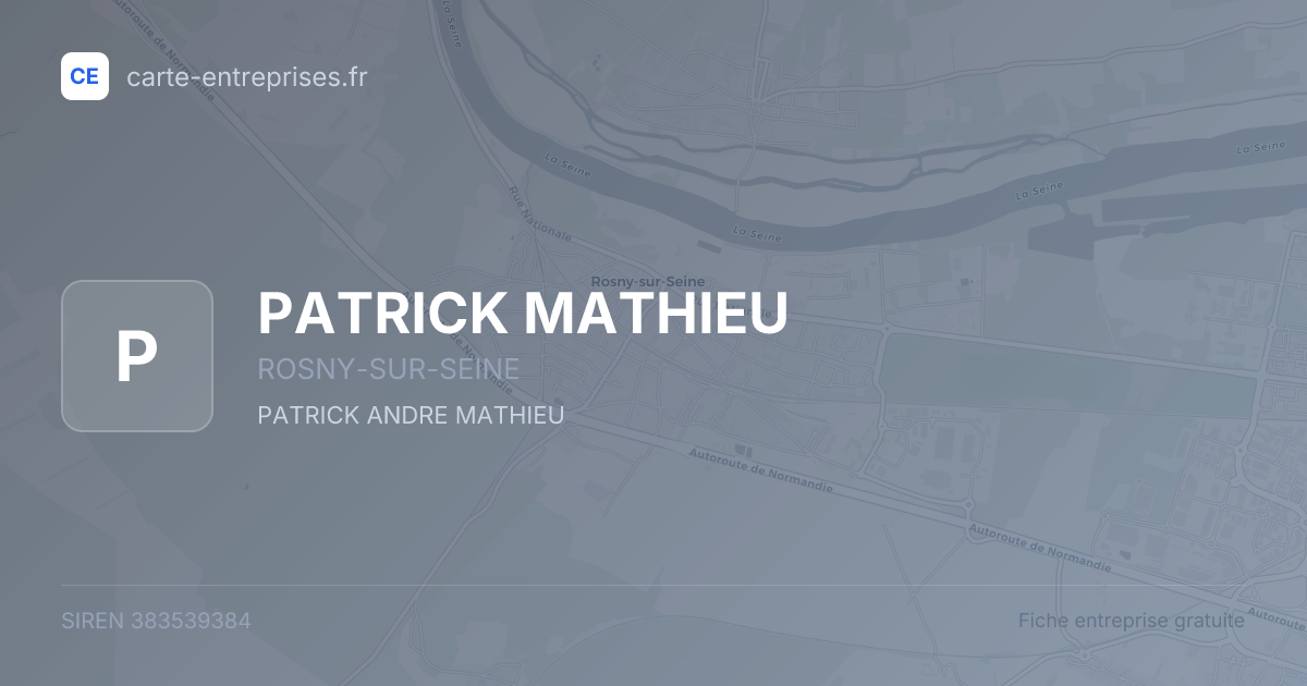 PATRICK MATHIEU — 383539384 — fiche entreprise