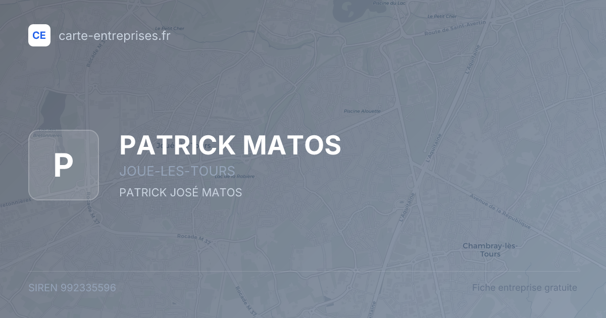 PATRICK MATOS — 992335596 — fiche entreprise