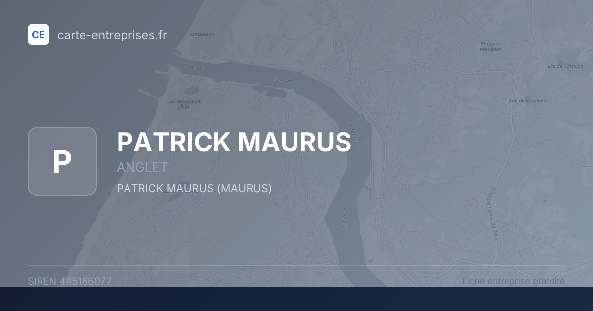 PATRICK MAURUS — 445166077 — fiche entreprise