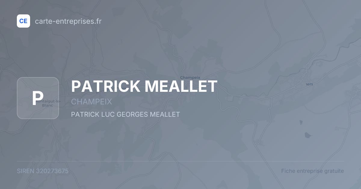 PATRICK MEALLET — 320273675 — fiche entreprise