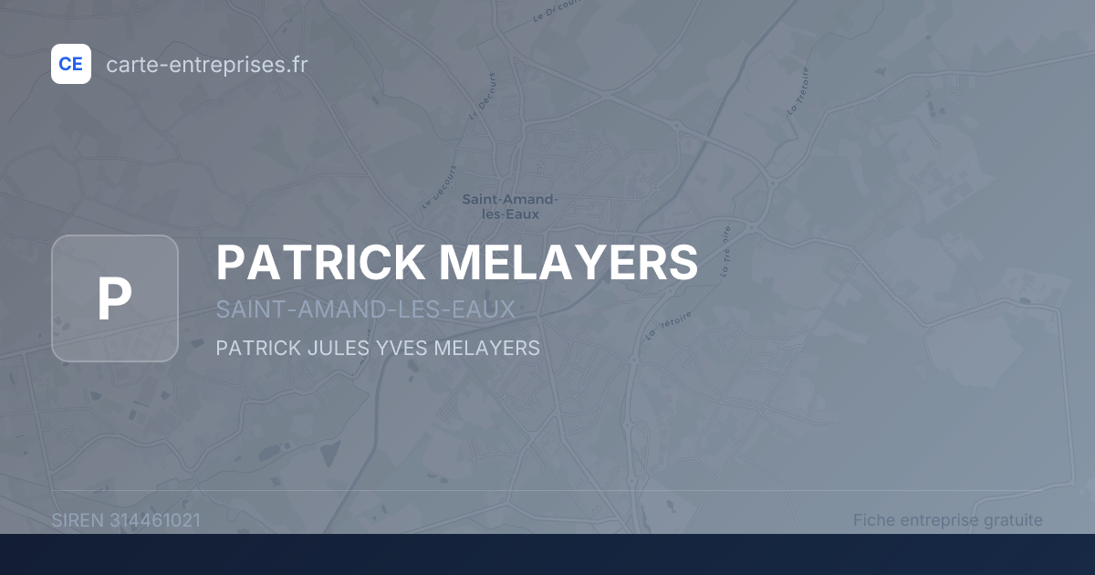 PATRICK MELAYERS — 314461021 — fiche entreprise