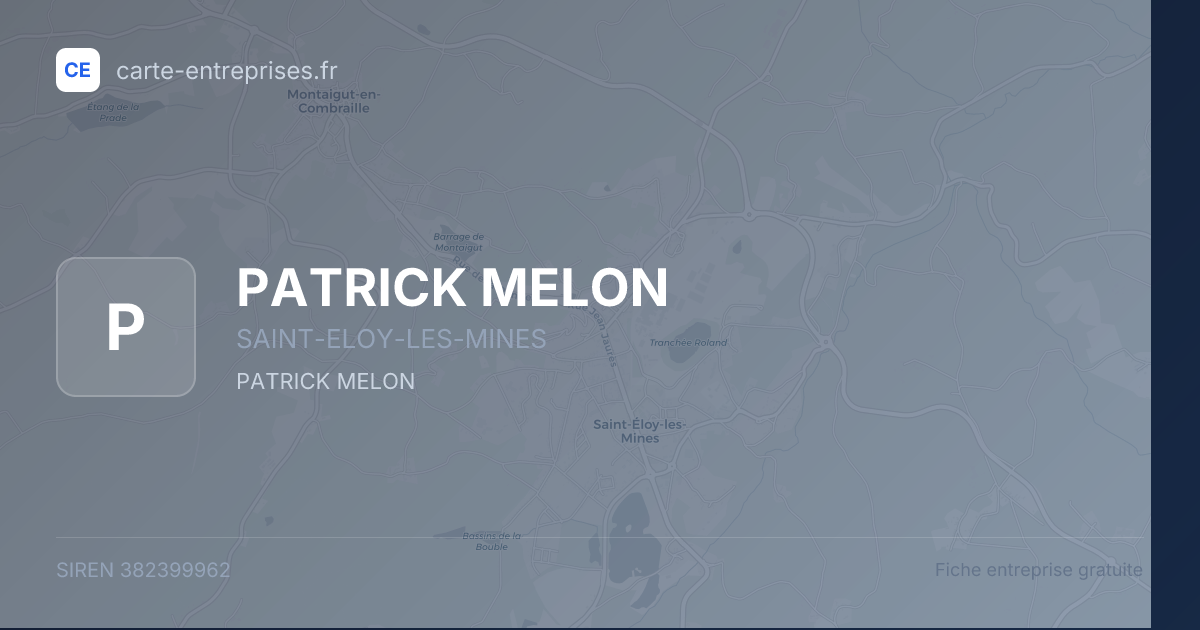 PATRICK MELON — 382399962 — fiche entreprise