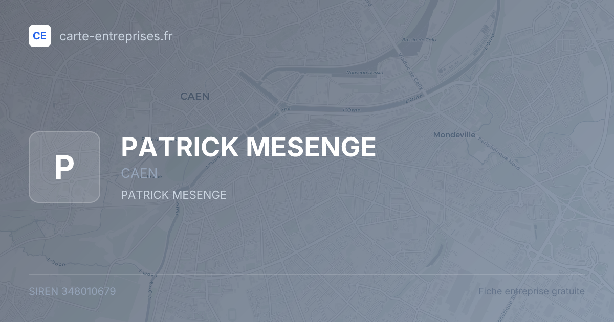 PATRICK MESENGE — 348010679 — fiche entreprise