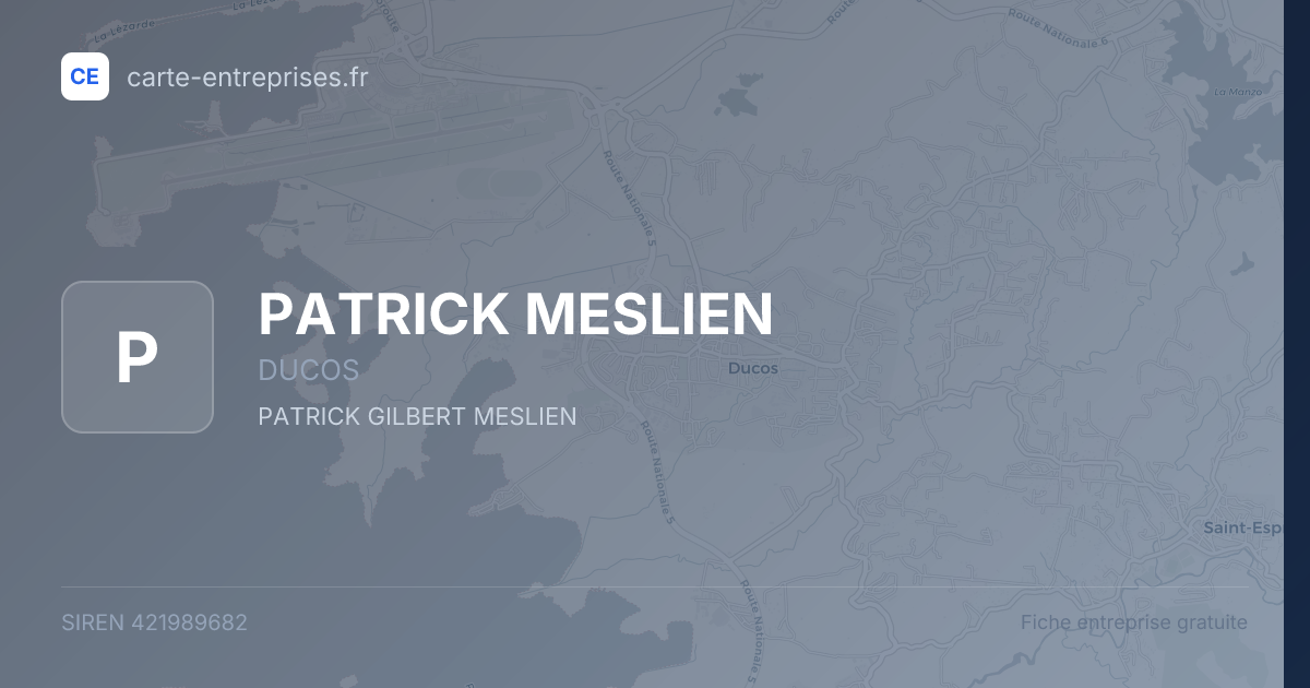 PATRICK MESLIEN — 421989682 — fiche entreprise