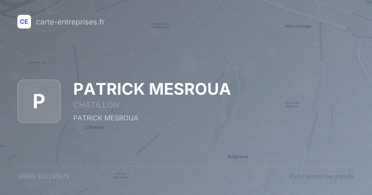 PATRICK MESROUA — 352241673 — fiche entreprise