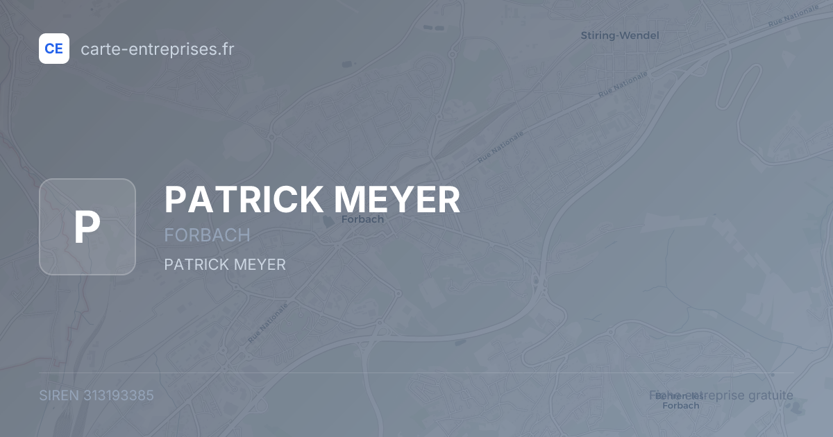 PATRICK MEYER — 313193385 — fiche entreprise