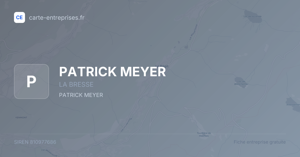 PATRICK MEYER — 810977686 — fiche entreprise