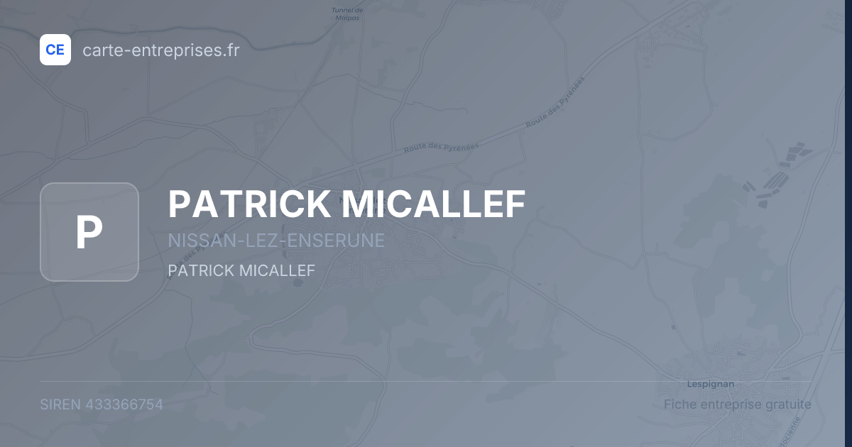 PATRICK MICALLEF — 433366754 — fiche entreprise