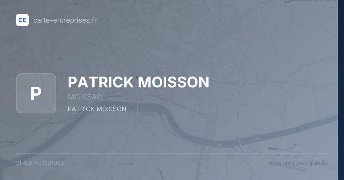 PATRICK MOISSON — 401901053 — fiche entreprise