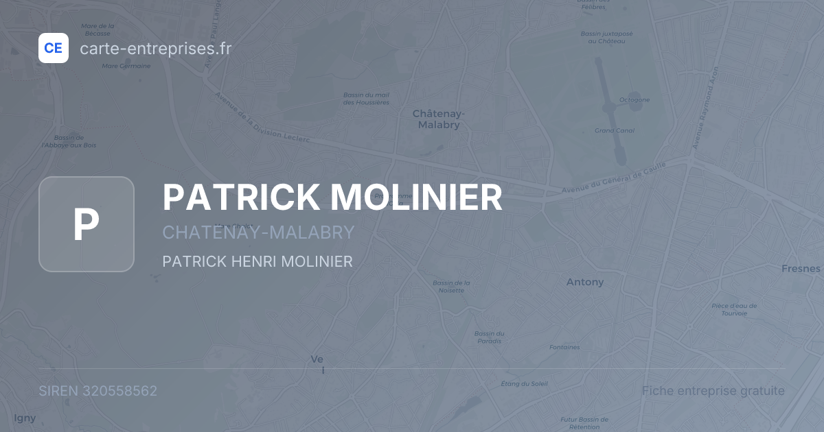 PATRICK MOLINIER — 320558562 — fiche entreprise