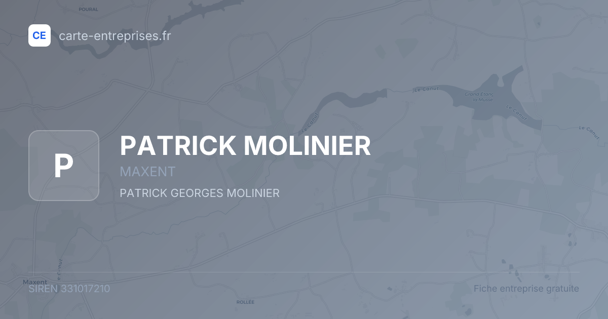 PATRICK MOLINIER — 331017210 — fiche entreprise