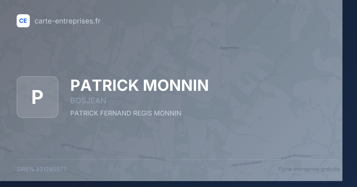 PATRICK MONNIN — 331285577 — fiche entreprise