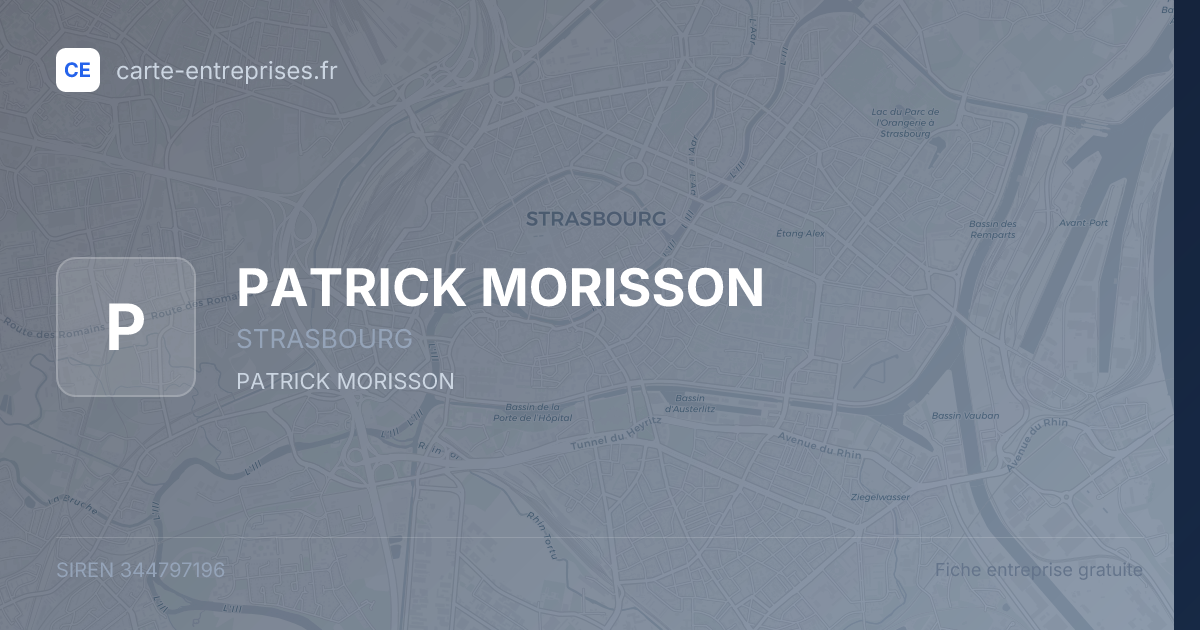PATRICK MORISSON — 344797196 — fiche entreprise