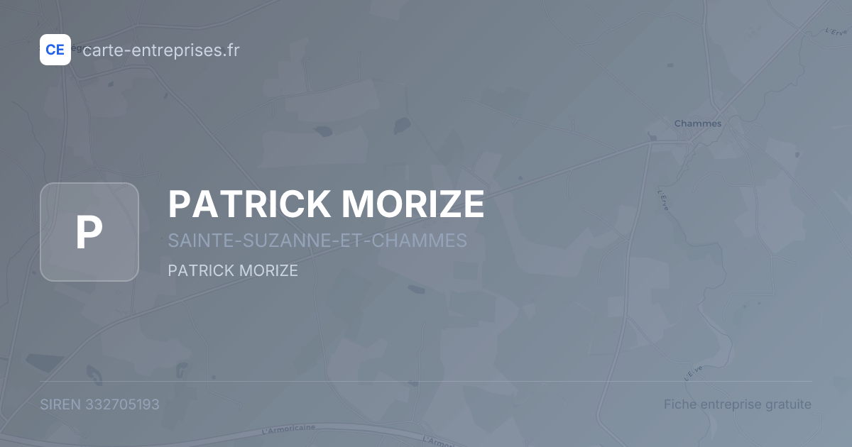 PATRICK MORIZE — 332705193 — fiche entreprise