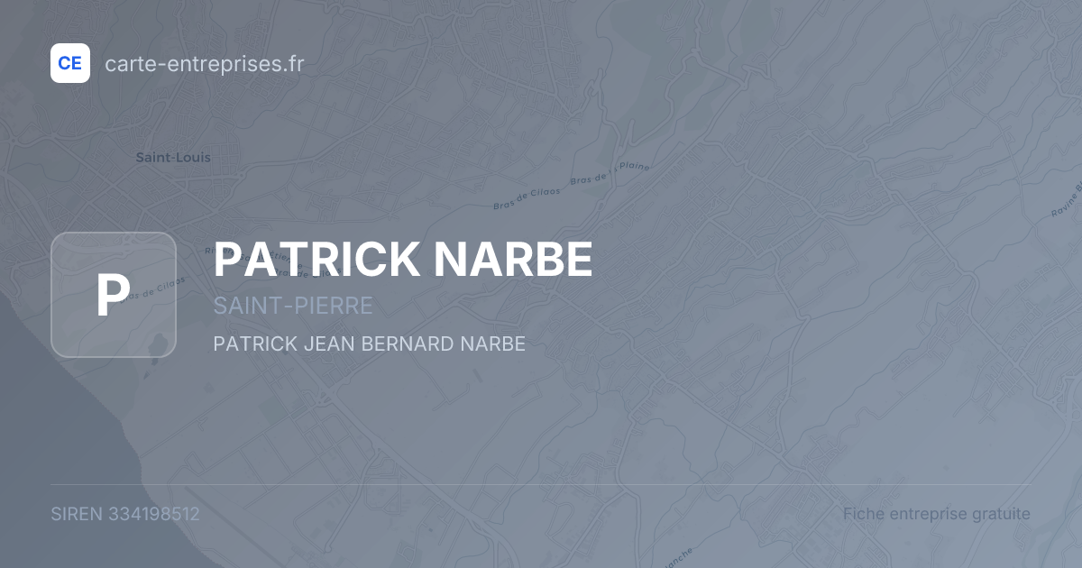 PATRICK NARBE — 334198512 — fiche entreprise