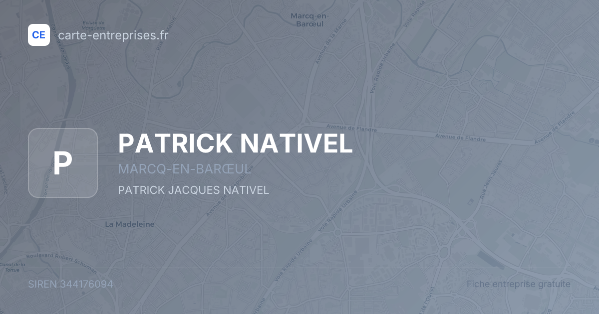 PATRICK NATIVEL — 344176094 — fiche entreprise