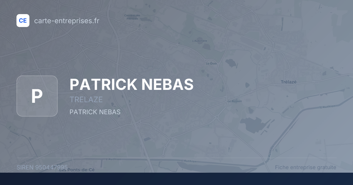 PATRICK NEBAS — 950447995 — fiche entreprise