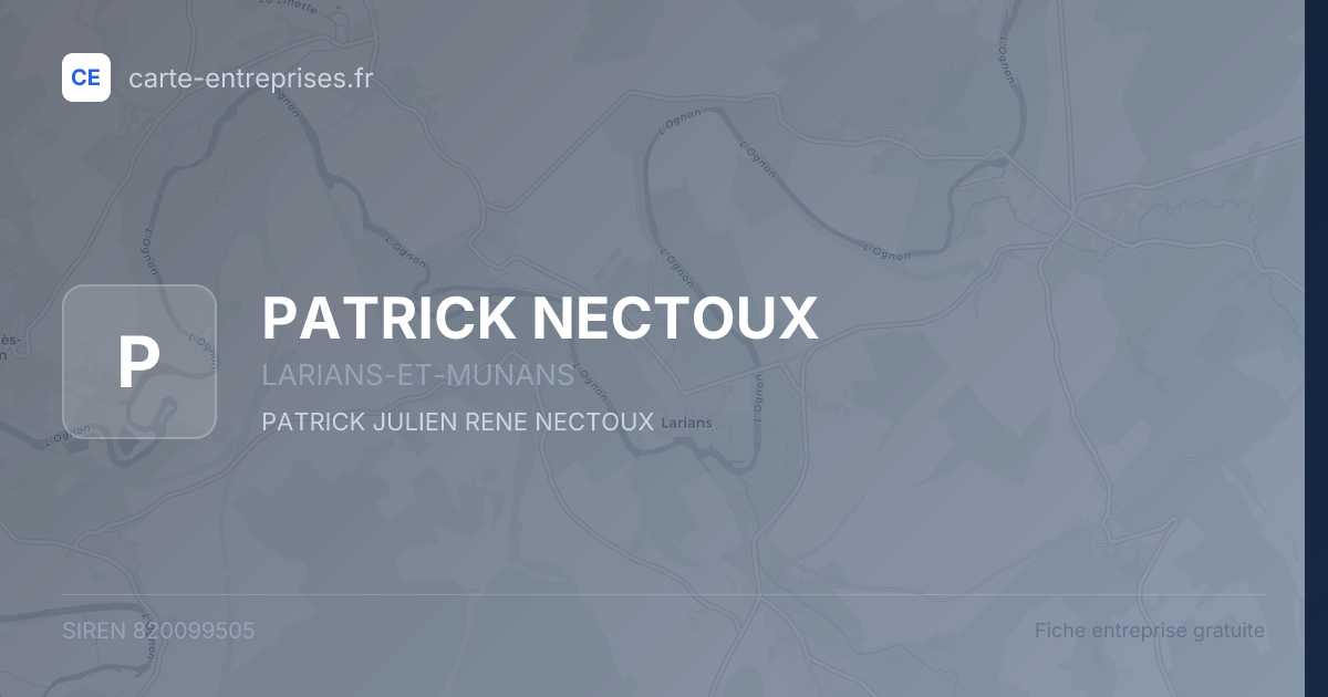 PATRICK NECTOUX — 820099505 — fiche entreprise