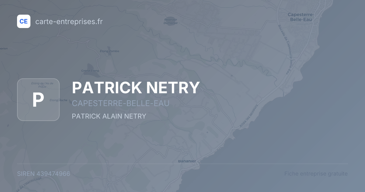 PATRICK NETRY — 439474966 — fiche entreprise