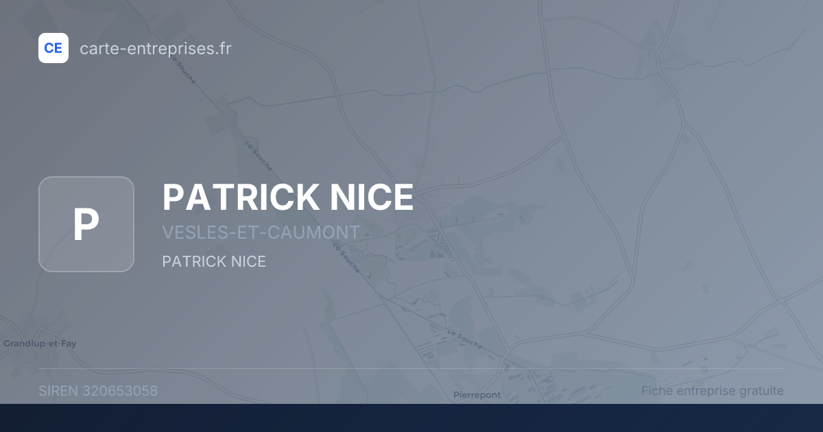 PATRICK NICE — 320653058 — fiche entreprise