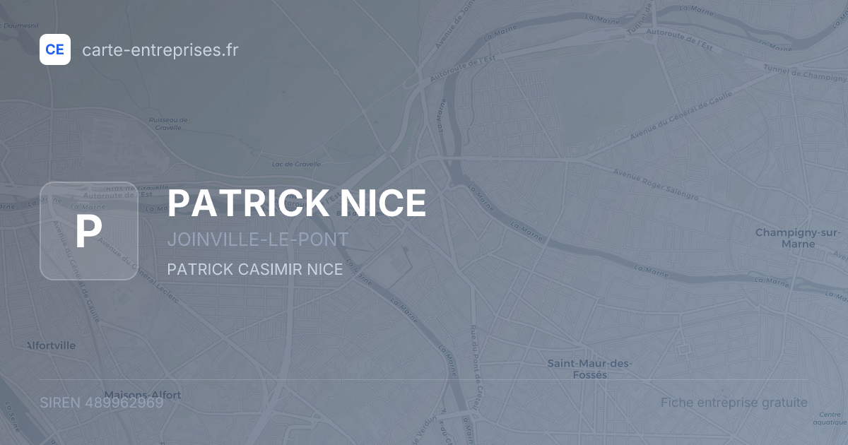 PATRICK NICE — 489962969 — fiche entreprise