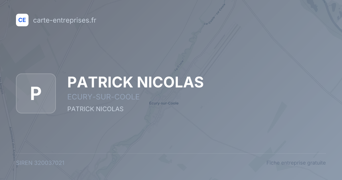 PATRICK NICOLAS — 320037021 — fiche entreprise