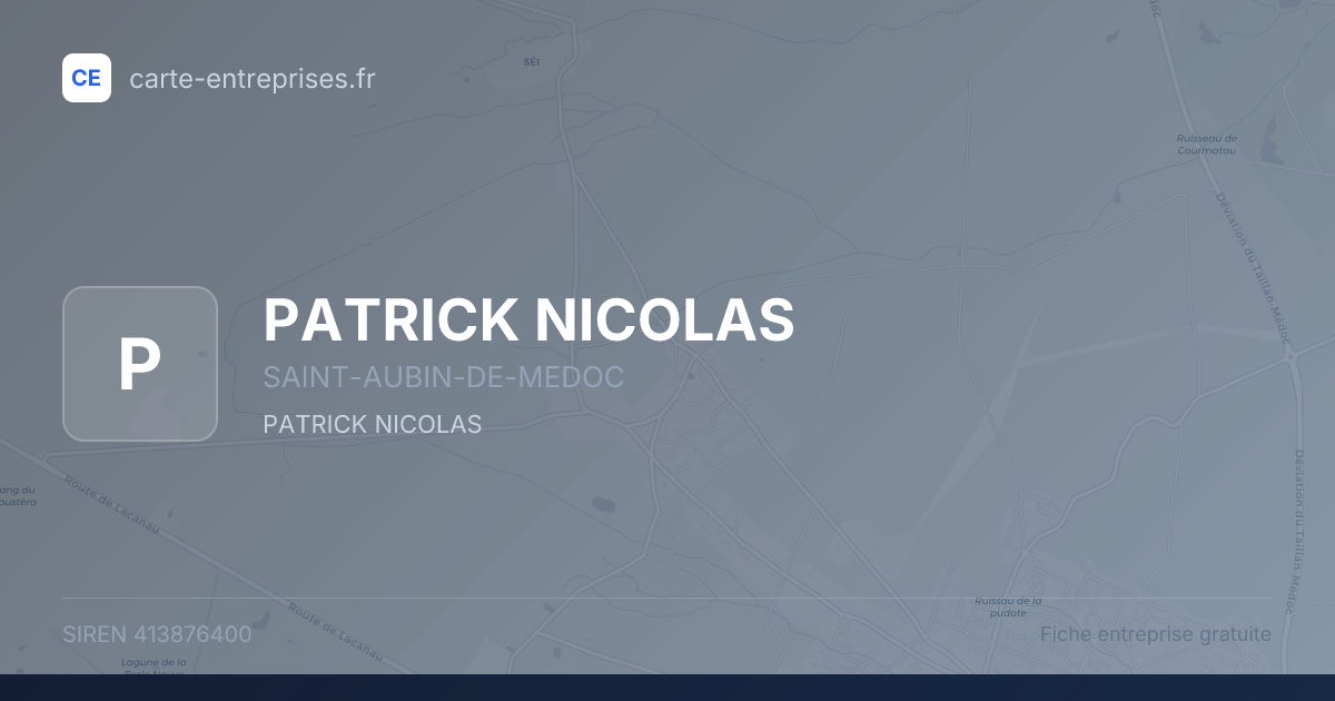 PATRICK NICOLAS — 413876400 — fiche entreprise