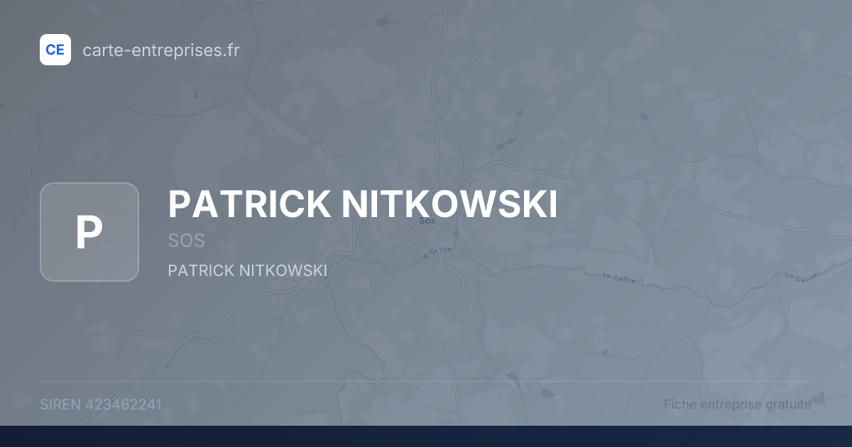 PATRICK NITKOWSKI — 423462241 — fiche entreprise