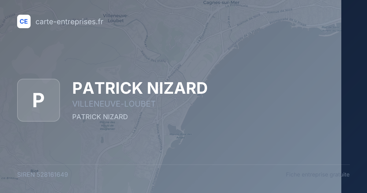 PATRICK NIZARD — 528161649 — fiche entreprise