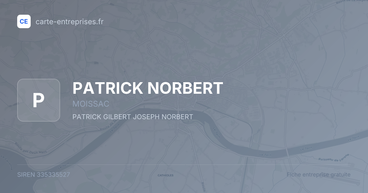 PATRICK NORBERT — 335335527 — fiche entreprise