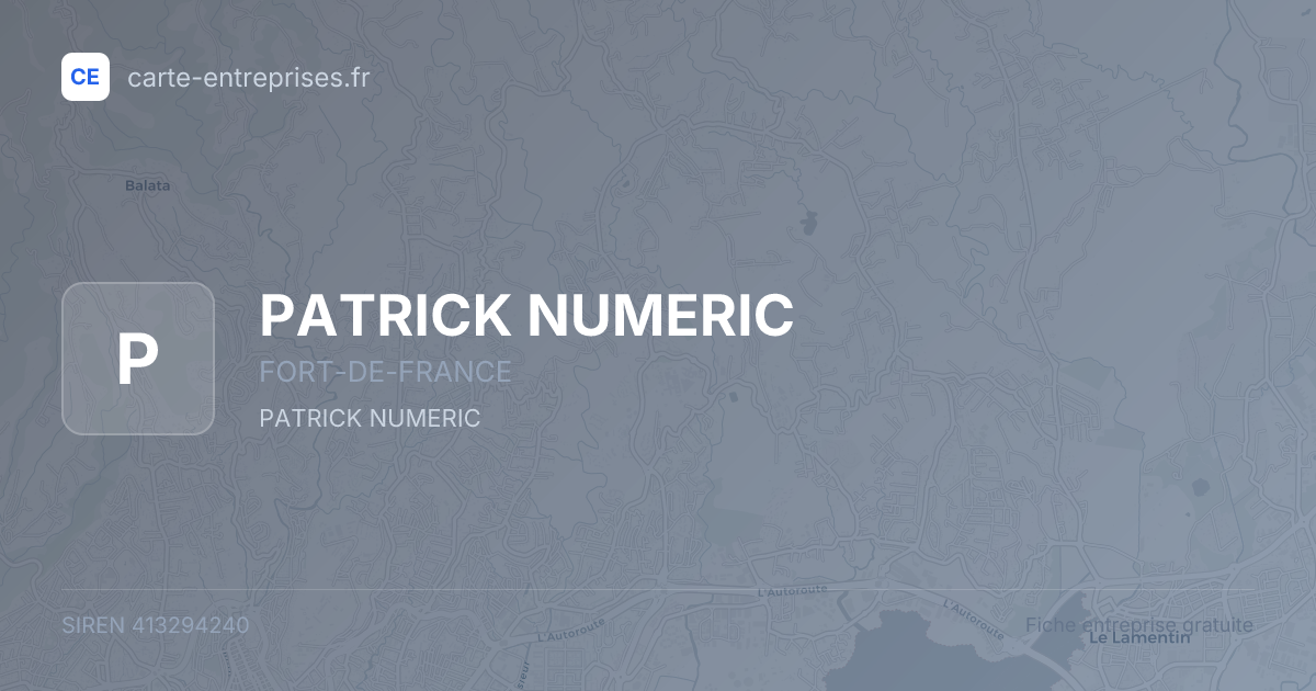 PATRICK NUMERIC — 413294240 — fiche entreprise