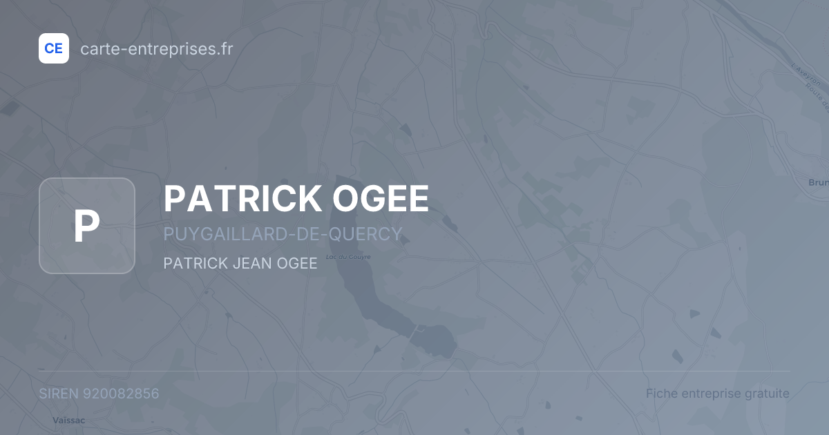 PATRICK OGEE — 920082856 — fiche entreprise