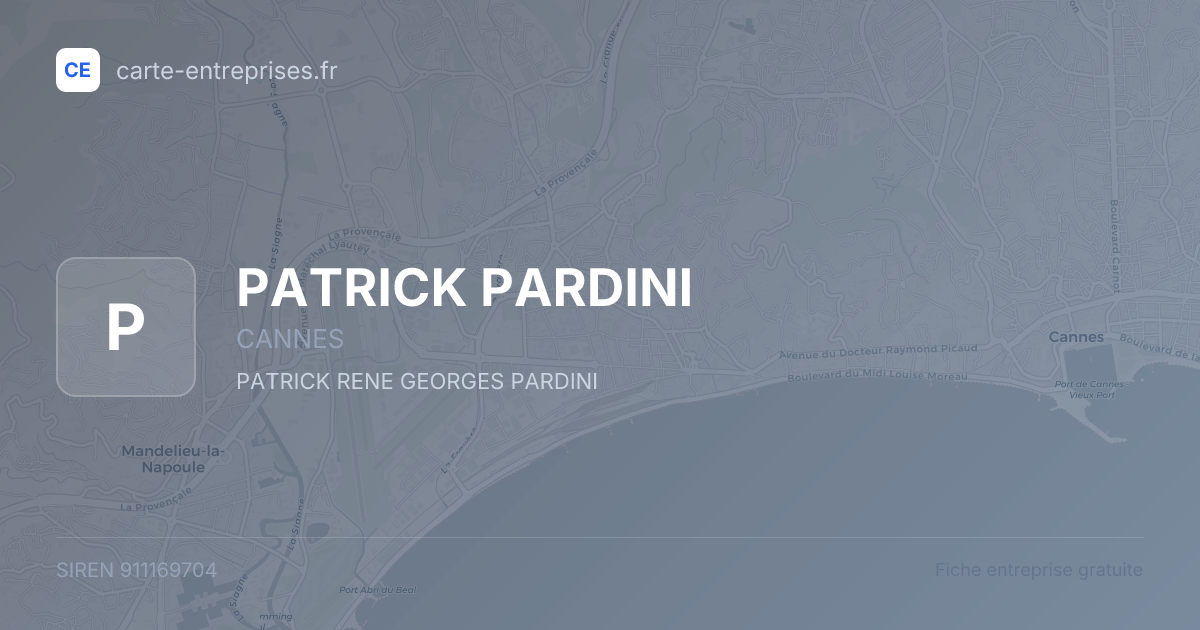 PATRICK PARDINI — 911169704 — fiche entreprise