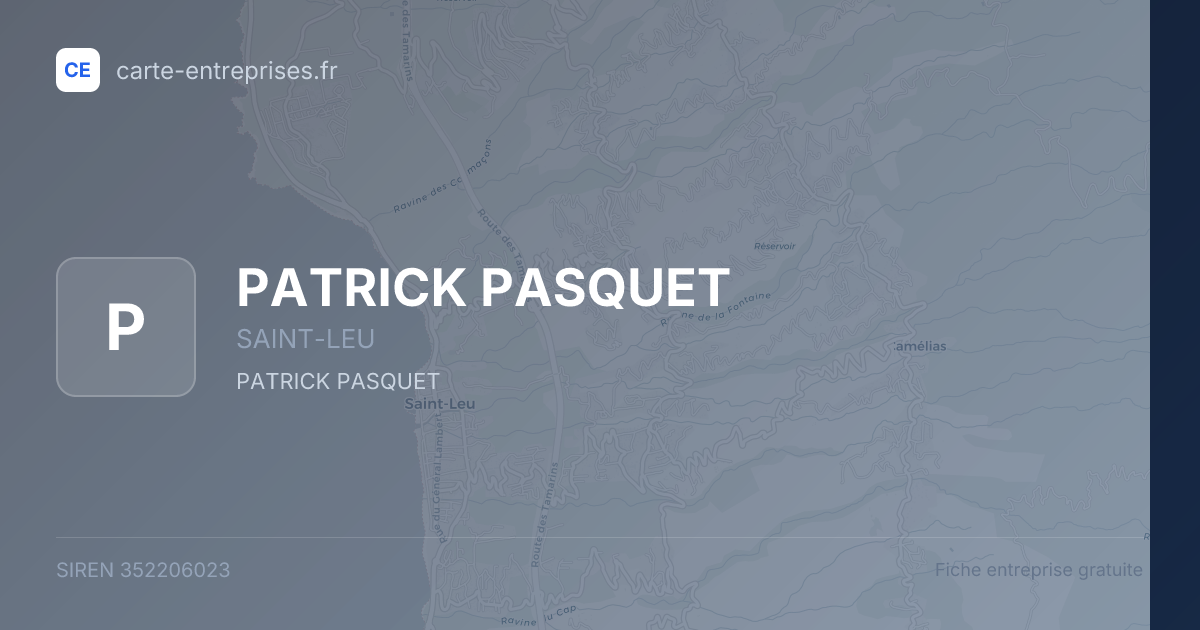 PATRICK PASQUET — 352206023 — fiche entreprise