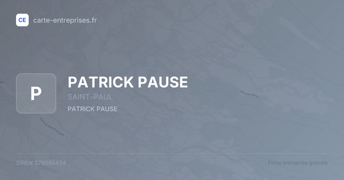 PATRICK PAUSE — 378095434 — fiche entreprise
