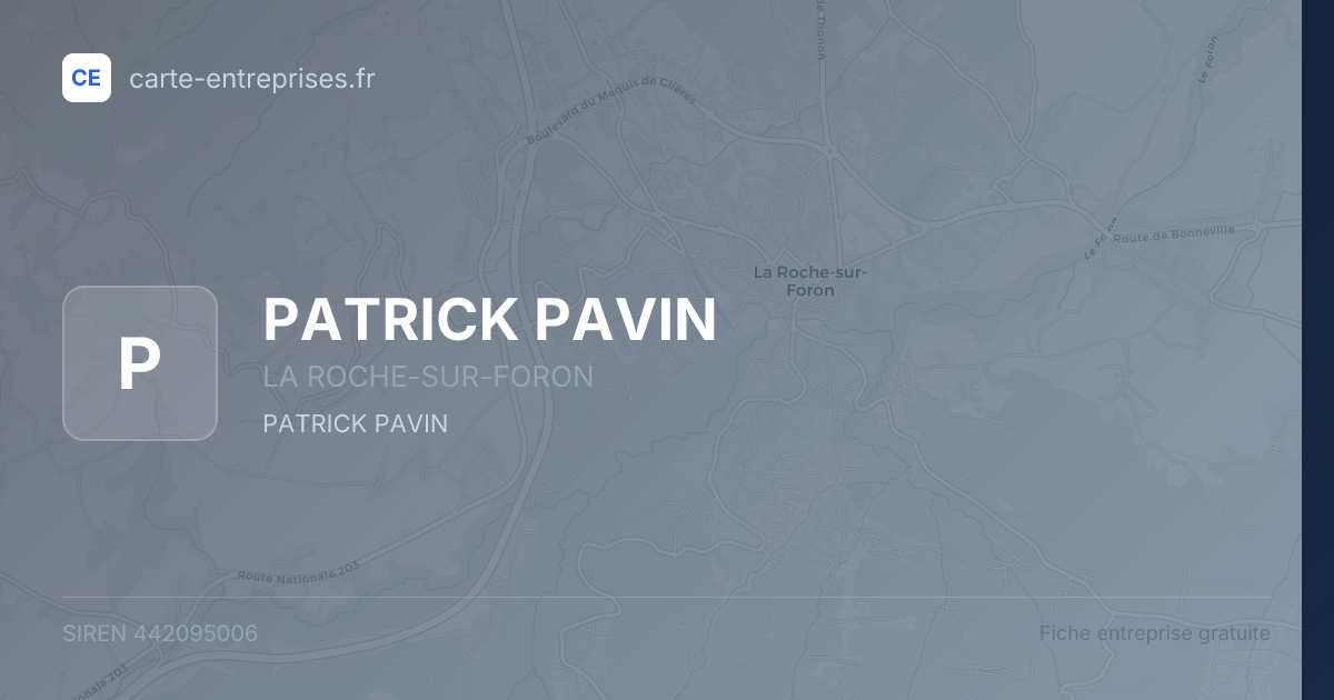 PATRICK PAVIN — 442095006 — fiche entreprise