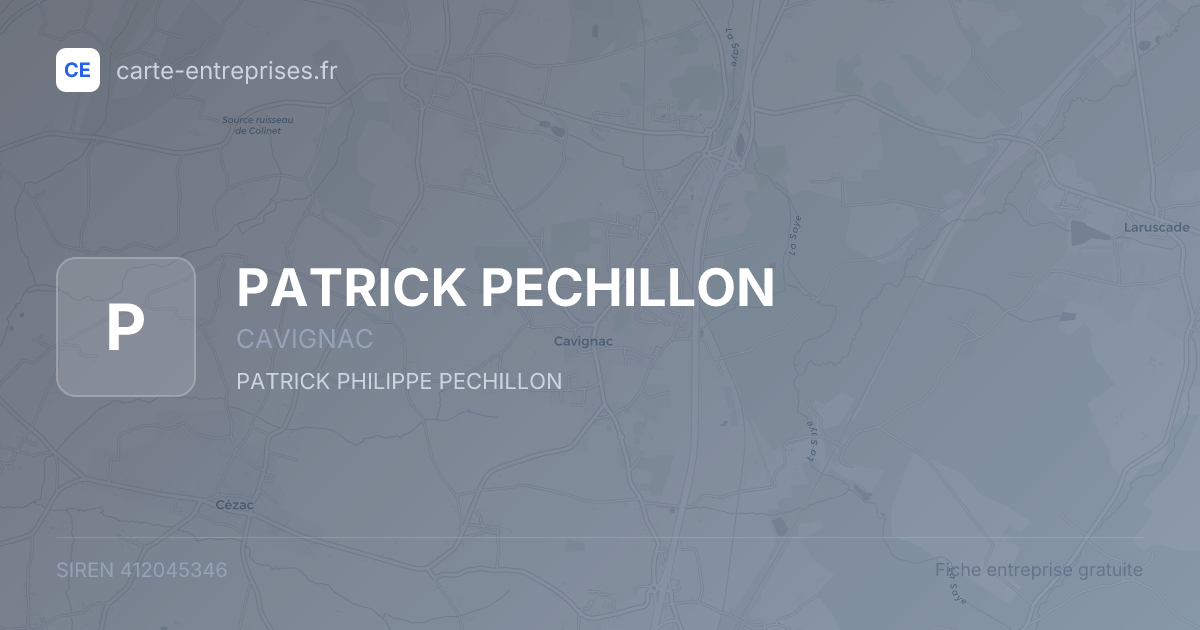 PATRICK PECHILLON — 412045346 — fiche entreprise
