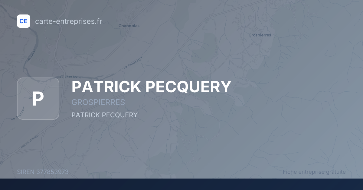PATRICK PECQUERY — 377853973 — fiche entreprise
