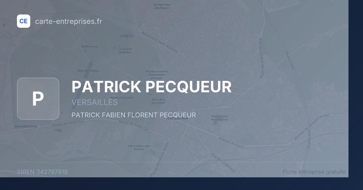 PATRICK PECQUEUR — 342797818 — fiche entreprise
