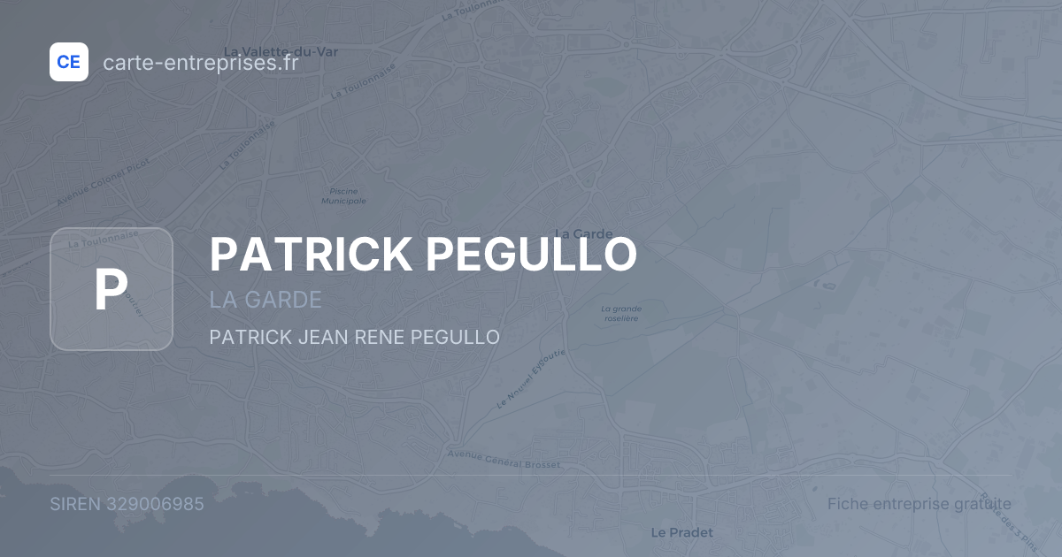 PATRICK PEGULLO — 329006985 — fiche entreprise
