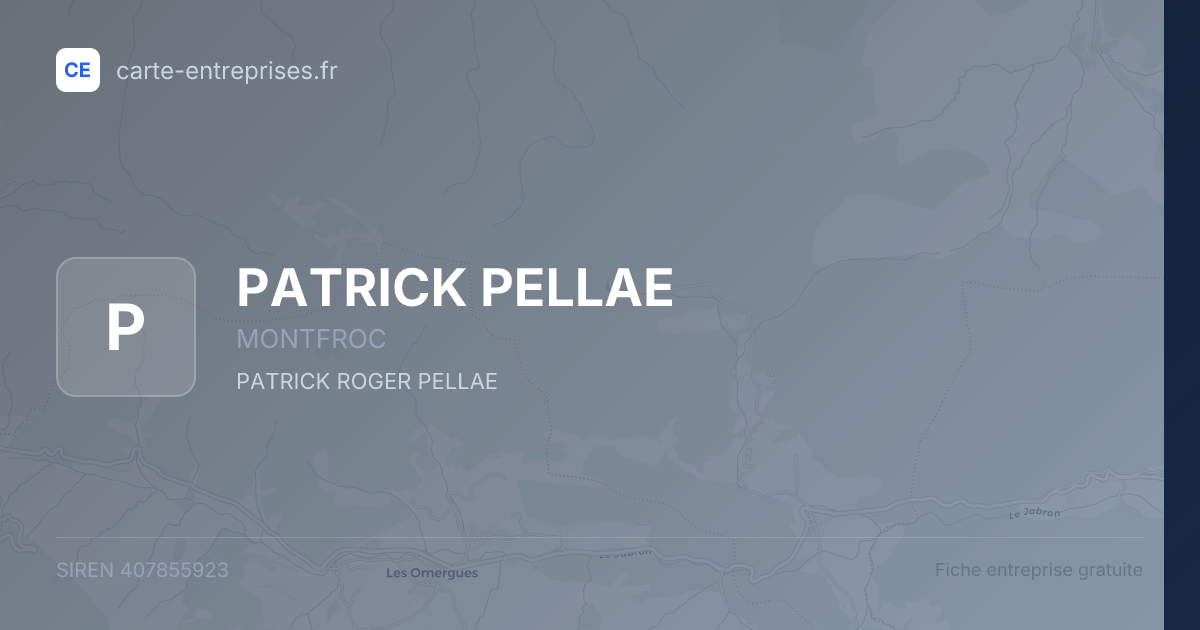 PATRICK PELLAE — 407855923 — fiche entreprise