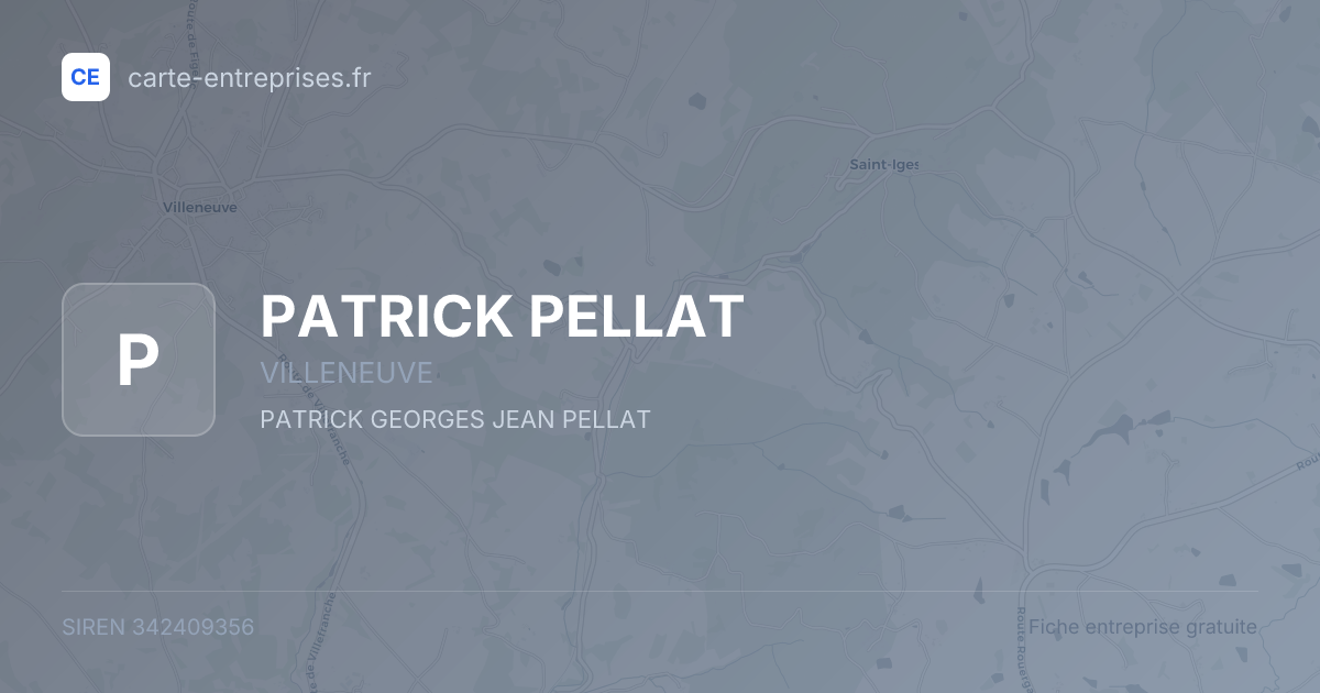 PATRICK PELLAT — 342409356 — fiche entreprise