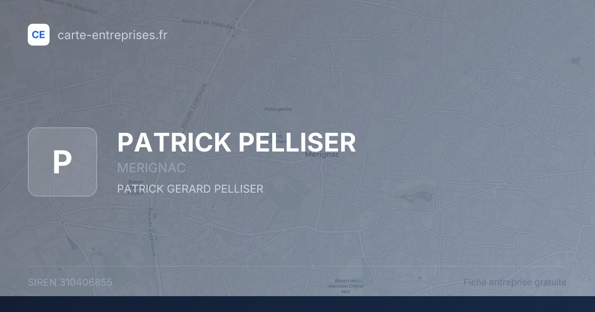 PATRICK PELLISER — 310406855 — fiche entreprise