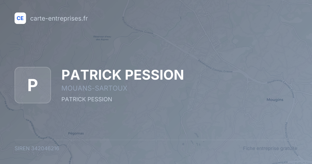 PATRICK PESSION — 342046216 — fiche entreprise