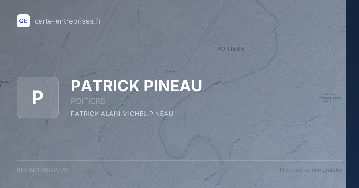PATRICK PINEAU — 379072770 — fiche entreprise
