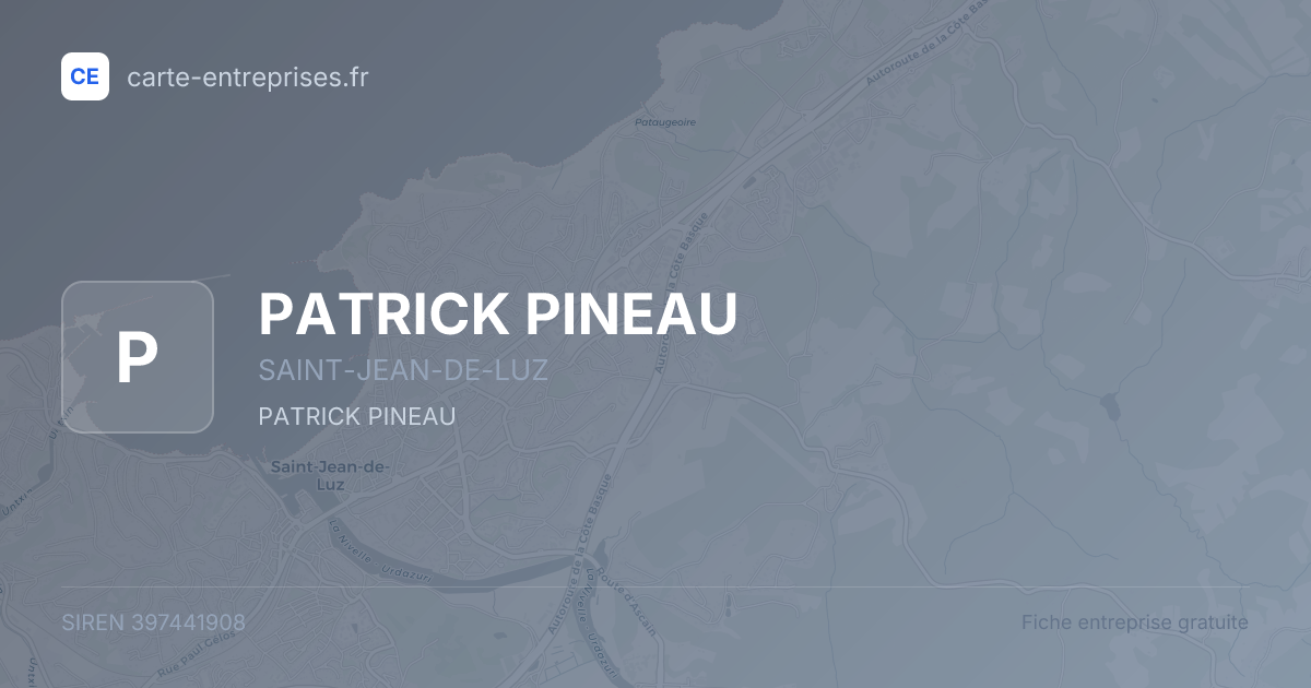 PATRICK PINEAU — 397441908 — fiche entreprise